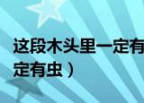 这段木头里一定有虫看图写话（这段木头里一定有虫）