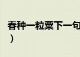 春种一粒粟下一句是什么（春种一粒粟下一句）