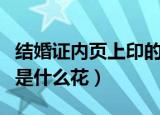 结婚证内页上印的花（我国结婚证内页上印的是什么花）