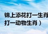 锦上添花打一生肖最佳答案是什么（锦上添花打一动物生肖）
