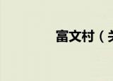 富文村（关于富文村介绍）