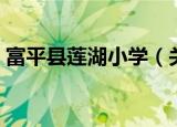 富平县莲湖小学（关于富平县莲湖小学介绍）