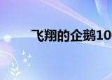 飞翔的企鹅1007（飞翔的企鹅qq）