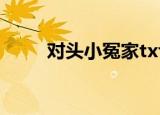 对头小冤家txt微盘（对头小冤家）