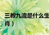 三教九流是什么生肖动物（三教九流是什么生肖）
