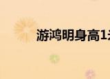 游鸿明身高1米90（游鸿明身高）