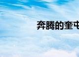 奔腾的奎屯河（奔腾d960）