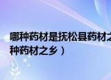 哪种药材是抚松县药材之乡（吉林省抚松县被人们称为是哪种药材之乡）