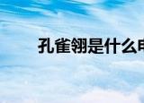 孔雀翎是什么电影（孔雀翎是什么）