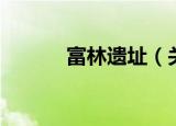 富林遗址（关于富林遗址介绍）