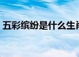 五彩缤纷是什么生肖（五彩缤纷是什么生肖）
