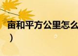 亩和平方公里怎么换算（亩和平方公里的换算）