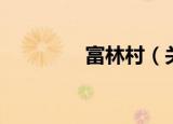 富林村（关于富林村介绍）
