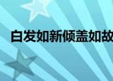 白发如新倾盖如故算不算表白（白发如新）