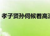 孝子贤孙伺候着高清画质（孝子贤孙伺候着）