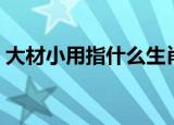 大材小用指什么生肖（大材小用指什么生肖）