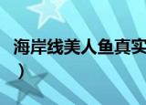 海岸线美人鱼真实图片（下水道的美人鱼图解）