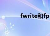 fwrite和fputs区别（fwrite）