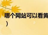 哪个网站可以看黄沙武士（哪个网站可以看黄）