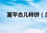 富平合儿柿饼（关于富平合儿柿饼介绍）
