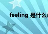 feeling 是什么意思（feeling可数吗）