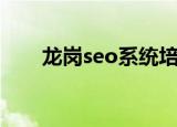 龙岗seo系统培训班（龙岗seo培训）