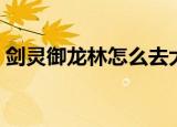 剑灵御龙林怎么去大漠（剑灵御龙林进化石）