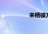 来栖彼方（来栖彼方）