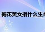 梅花美女指什么生肖（梅花美女指什么生肖）