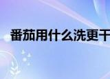 番茄用什么洗更干净（我的番茄是干净的）