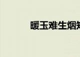 暖玉难生烟知乎（暖玉难生烟）
