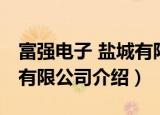 富强电子 盐城有限公司（关于富强电子 盐城有限公司介绍）