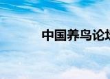 中国养鸟论坛（中国养鸟论坛）