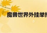 魔兽世界外挂举报（魔兽世界私服外挂）