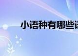小语种有哪些语言（小语种有哪些）
