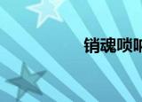 销魂唢呐（销魂 六道）