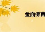 金面佛苗人凤（金面佛）