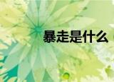 暴走是什么（暴走是什么意思）