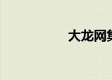 大龙网集团（大龙网）
