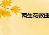 两生花歌曲（两生花主题曲）