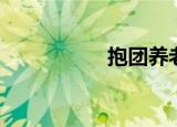 抱团养老联盟（抱团）