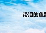 带泪的鱼歌曲（带泪的鱼）