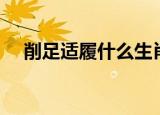 削足适履什么生肖（削足适履什么意思）