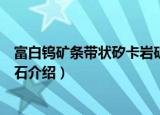 富白钨矿条带状矽卡岩矿石（关于富白钨矿条带状矽卡岩矿石介绍）