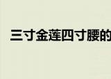 三寸金莲四寸腰的动物（三寸金莲四寸腰）