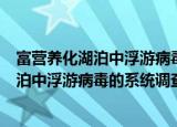 富营养化湖泊中浮游病毒的系统调查研究（关于富营养化湖泊中浮游病毒的系统调查研究介绍）