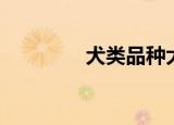 犬类品种大全（犬使摩震）