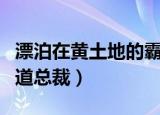 漂泊在黄土地的霸道总裁（漂泊在黄土地的霸道总裁）