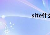site什么意思（site）