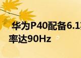  华为P40配备6.1英寸OLED显示屏 图像刷新率达90Hz